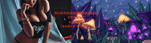 гидра Майский