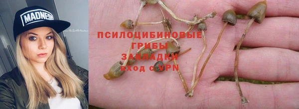 скорость Абаза