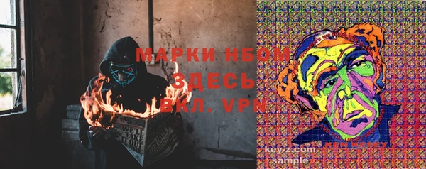 ГАЛЛЮЦИНОГЕННЫЕ ГРИБЫ Абдулино