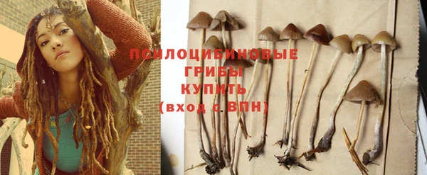 скорость Абаза