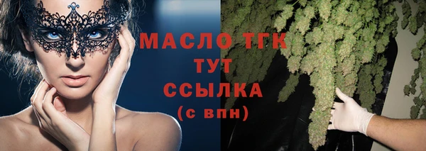 гидра Майский