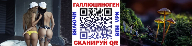 Псилоцибиновые грибы Psilocybe Усть-Катав